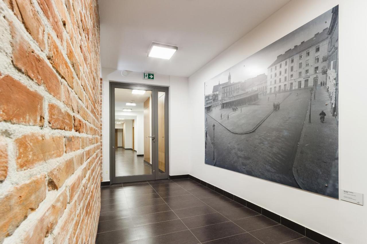 3d Go By Renters Cracovia